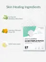 Priveda Seoul Spot Clearing Acne pimple patch (57 patches) (20 g)